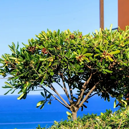 Lägenhetshotell Ippoliti Village 3*