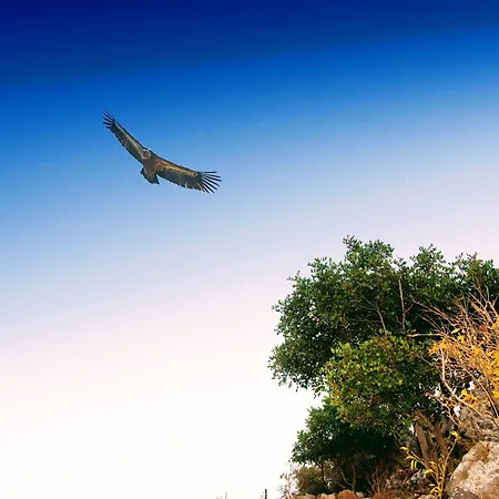 Ippoliti Village 3* Херсониссос