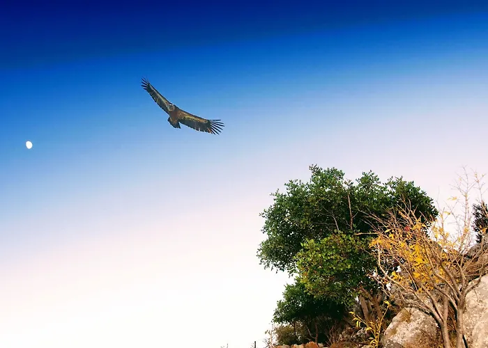 Ippoliti Village 3* Hersónissos