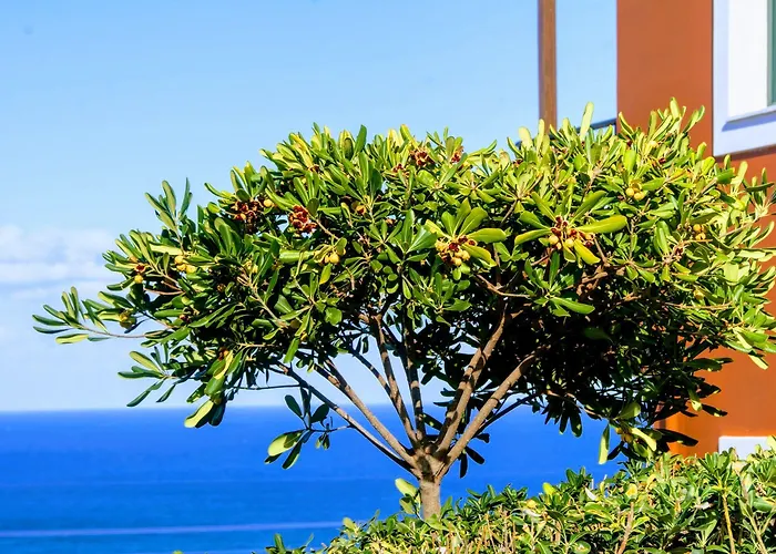 Hotel apartamentowy Ippoliti Village 3*